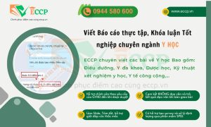 Viết Báo Cáo, Luận Văn Tốt Nghiệp Ngành Y Học – ECCP Uy Tín, Chuyên Nghiệp