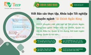VIẾT BÁO CÁO, LUẬN VĂN TỐT NGHIỆP ĐẠI HỌC VÀ LUẬN VĂN THẠC SĨ NGÀNH TÀI CHÍNH NGÂN HÀNG – DỊCH VỤ TỐI ƯU TỪ ECCP