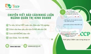 Viết Báo Cáo và Khóa Luận Ngành Quản Trị Kinh Doanh - ECCP