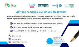 Viết Báo Cáo, Luận Văn Ngành Marketing Chuyên Nghiệp – ECCP