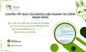 Chuyên Viết Báo Cáo, Khóa Luận Ngành Tài Chính Ngân Hàng Tại ECCP