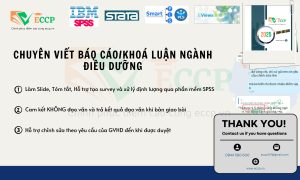 Viết Báo Cáo, Khóa Luận Ngành Điều Dưỡng – Chất Lượng, Uy Tín tại ECCP