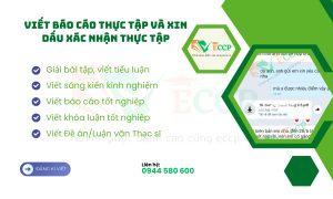 VIẾT BÁO CÁO THỰC TẬP VÀ XIN DẤU XÁC NHẬN THỰC TẬP 2025